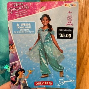 Disney Princess Jasmine from Aladdin costume with iridescent accents